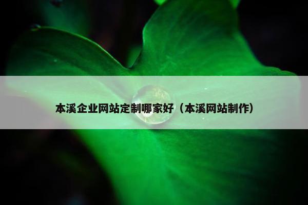本溪企业网站定制哪家好（本溪网站制作）