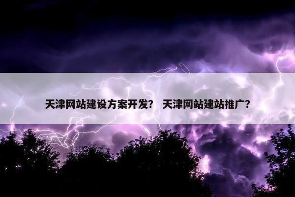 天津网站建设方案开发？ 天津网站建站推广？