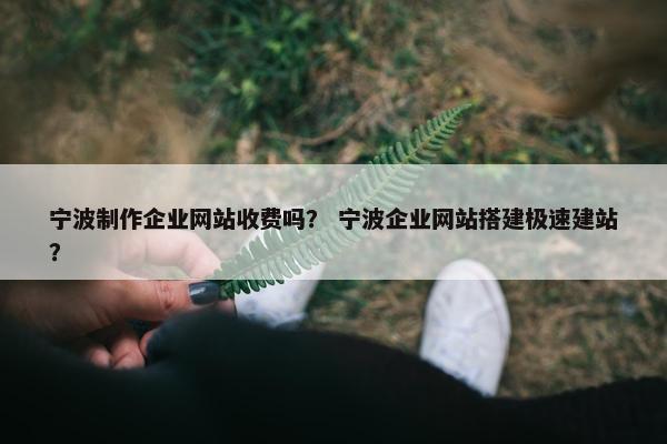 宁波制作企业网站收费吗？ 宁波企业网站搭建极速建站？