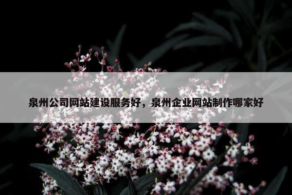 泉州公司网站建设服务好，泉州企业网站制作哪家好