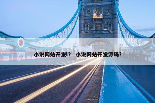 小说网站开发l？ 小说网站开发源码？