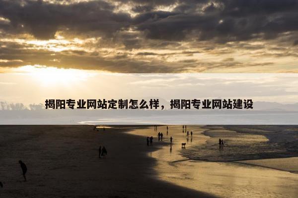 揭阳专业网站定制怎么样，揭阳专业网站建设