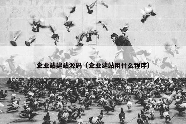 企业站建站源码（企业建站用什么程序）