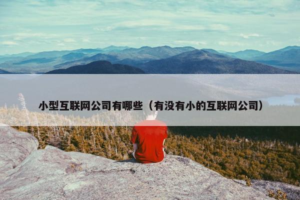 小型互联网公司有哪些（有没有小的互联网公司）