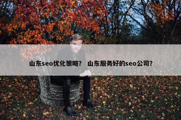 山东seo优化策略？ 山东服务好的seo公司？