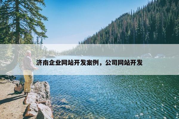 济南企业网站开发案例，公司网站开发