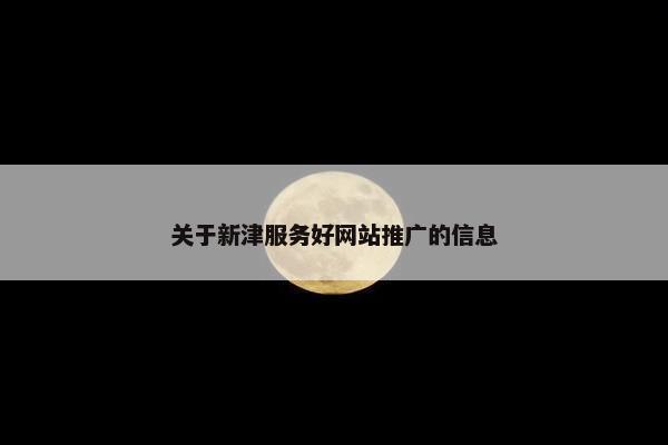 关于新津服务好网站推广的信息