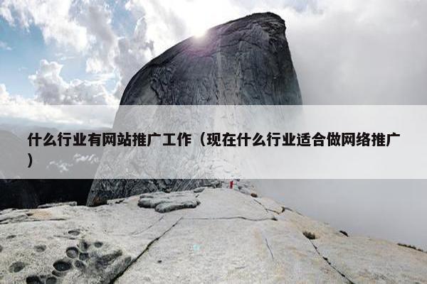 什么行业有网站推广工作（现在什么行业适合做网络推广）