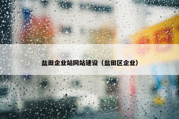 盐田企业站网站建设（盐田区企业）