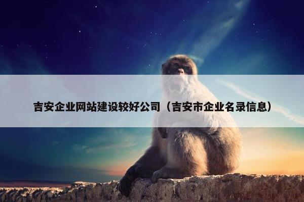 吉安企业网站建设较好公司（吉安市企业名录信息）