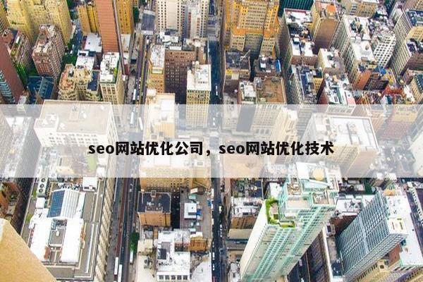 seo网站优化公司，seo网站优化技术