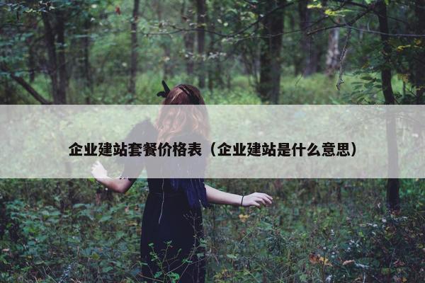 企业建站套餐价格表（企业建站是什么意思）