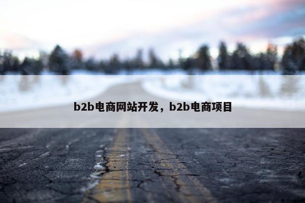 b2b电商网站开发，b2b电商项目