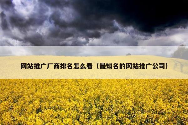 网站推广厂商排名怎么看（最知名的网站推广公司）