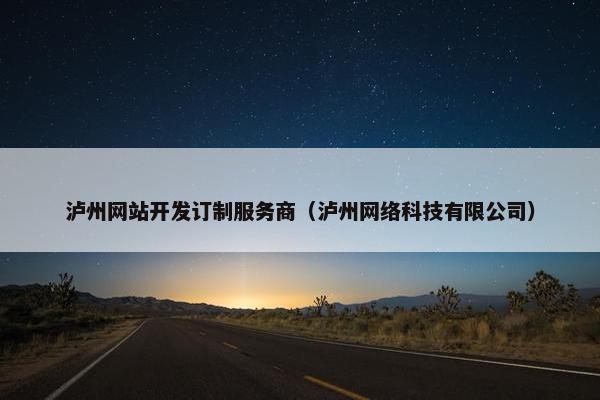 泸州网站开发订制服务商（泸州网络科技有限公司）