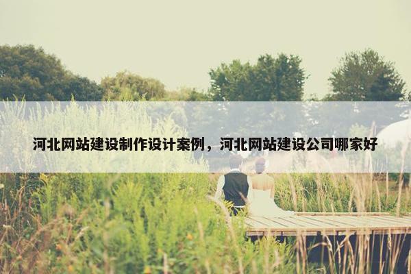 河北网站建设制作设计案例，河北网站建设公司哪家好