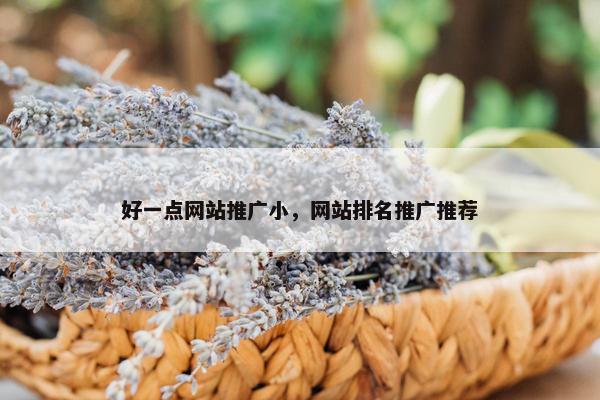 好一点网站推广小，网站排名推广推荐