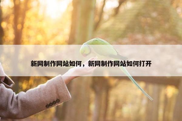 新网制作网站如何，新网制作网站如何打开