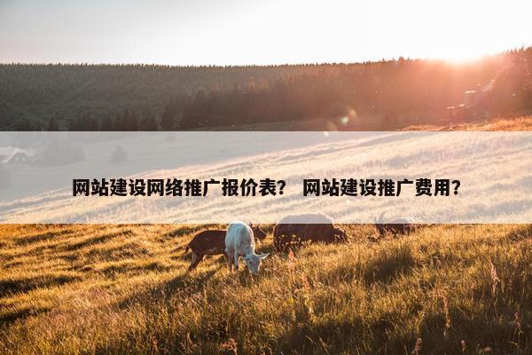 网站建设网络推广报价表？ 网站建设推广费用？