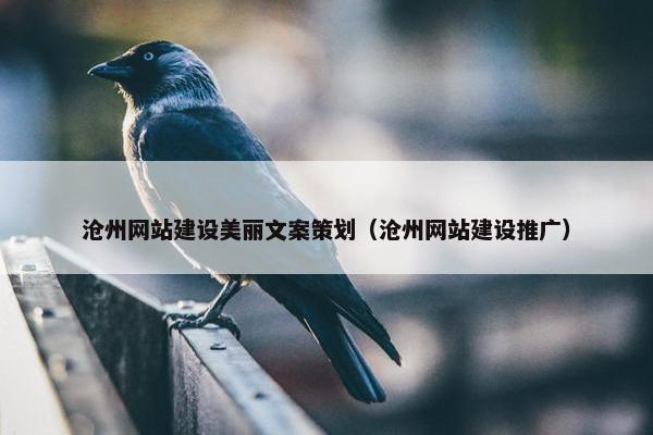 沧州网站建设美丽文案策划（沧州网站建设推广）
