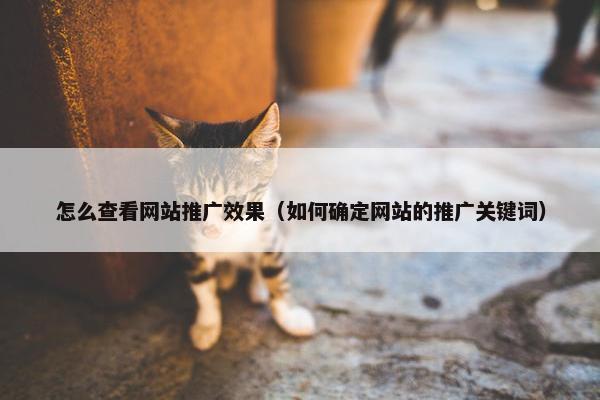 怎么查看网站推广效果（如何确定网站的推广关键词）