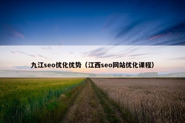 九江seo优化优势（江西seo网站优化课程）