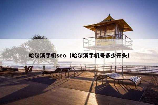 哈尔滨手机seo（哈尔滨手机号多少开头）