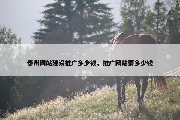 泰州网站建设推广多少钱，推广网站要多少钱
