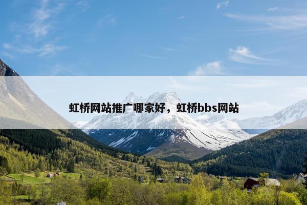 虹桥网站推广哪家好，虹桥bbs网站