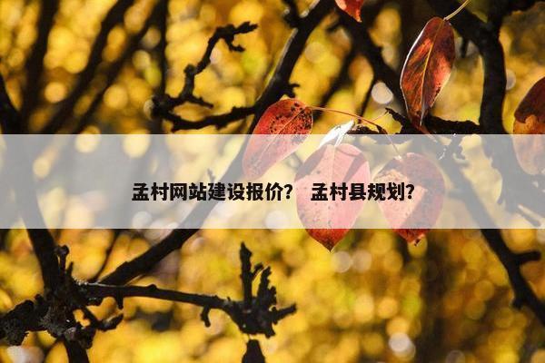 孟村网站建设报价？ 孟村县规划？