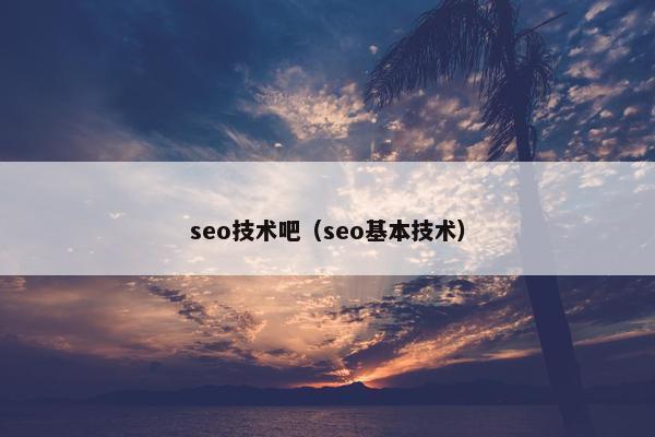 seo技术吧（seo基本技术）