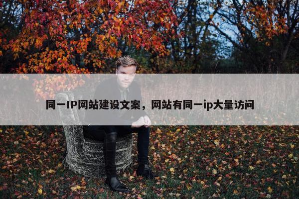 同一IP网站建设文案，网站有同一ip大量访问