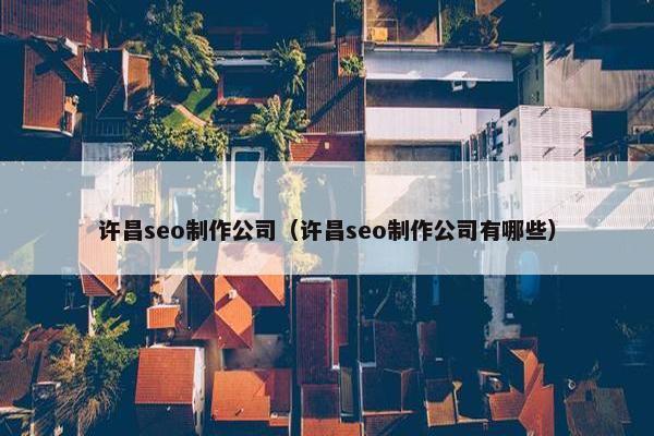 许昌seo制作公司（许昌seo制作公司有哪些）