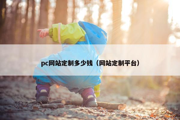 pc网站定制多少钱（网站定制平台）