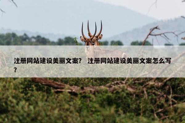 注册网站建设美丽文案？ 注册网站建设美丽文案怎么写？