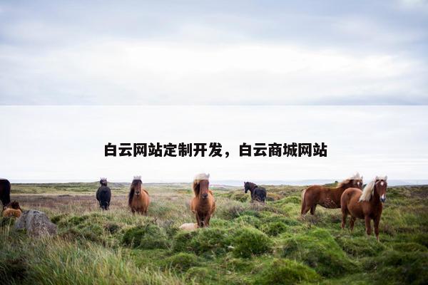 白云网站定制开发，白云商城网站