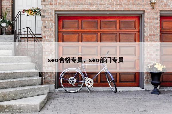 seo合格专员，seo部门专员