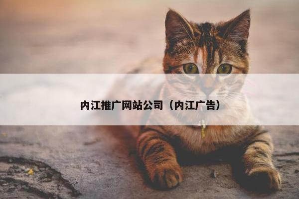 内江推广网站公司（内江广告）