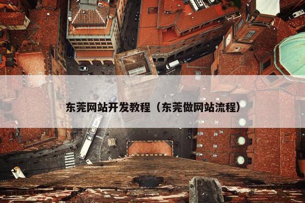 东莞网站开发教程（东莞做网站流程）