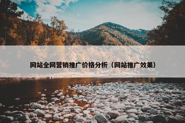 网站全网营销推广价格分析（网站推广效果）