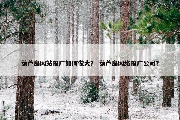 葫芦岛网站推广如何做大？ 葫芦岛网络推广公司？