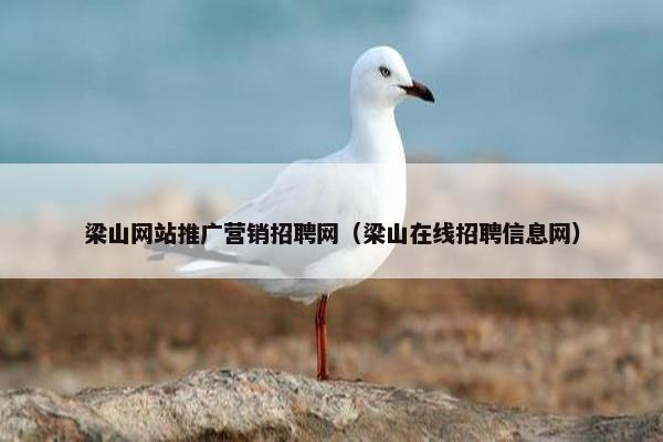 梁山网站推广营销招聘网（梁山在线招聘信息网）