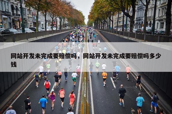 网站开发未完成要赔偿吗，网站开发未完成要赔偿吗多少钱