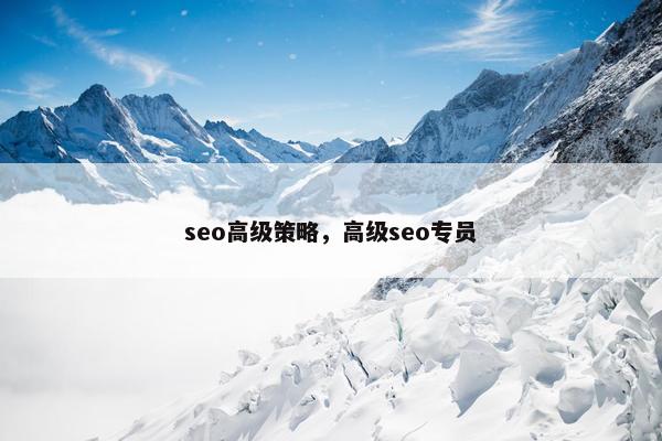 seo高级策略，高级seo专员