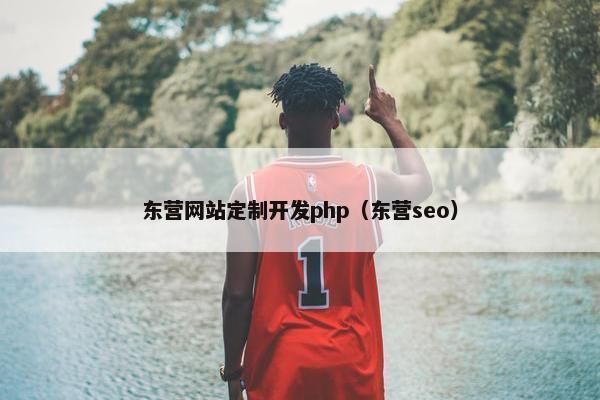 东营网站定制开发php（东营seo）