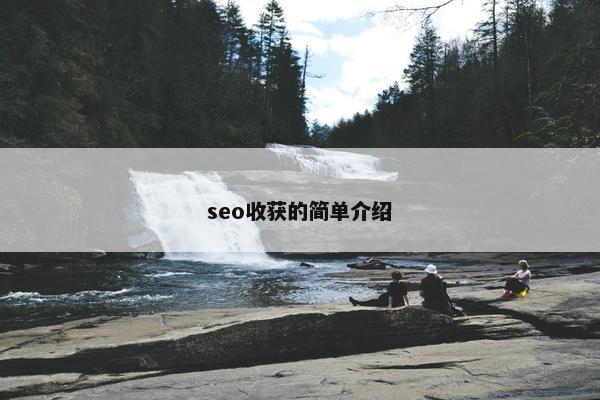 seo收获的简单介绍