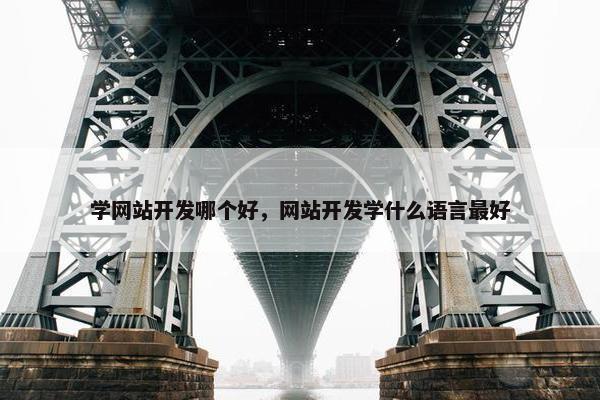 学网站开发哪个好，网站开发学什么语言最好