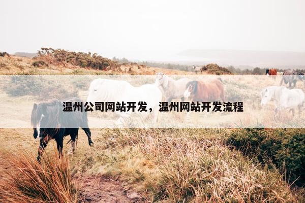 温州公司网站开发，温州网站开发流程