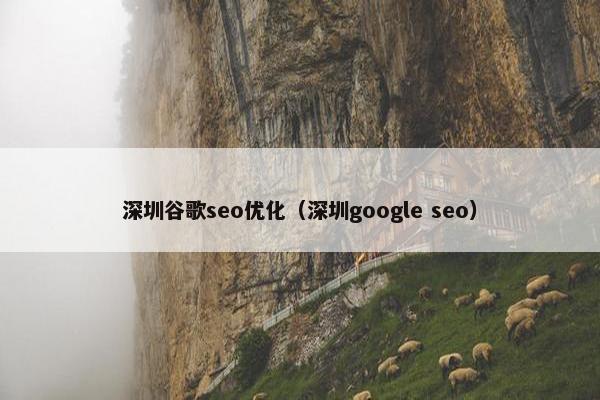 深圳谷歌seo优化（深圳google seo）