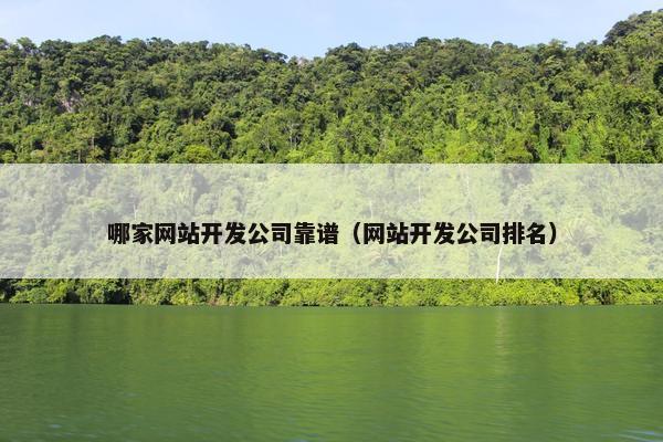哪家网站开发公司靠谱（网站开发公司排名）